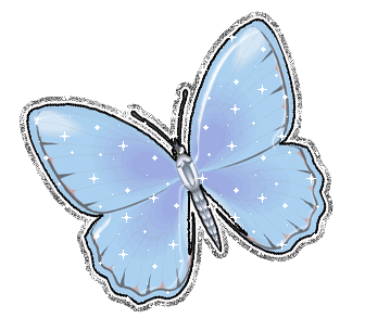 butterfly-desi-glitters-49