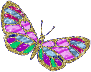 butterfly-desi-glitters-54