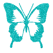 butterfly-desi-glitters-72
