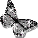 butterfly-desi-glitters-74