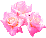 roses-desi-glitters-11
