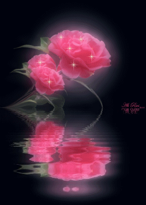 roses-desi-glitters-15