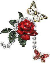roses-desi-glitters-3