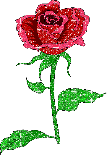 flowers/roses/glittering-