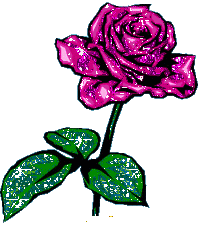 roses-desi-glitters-53