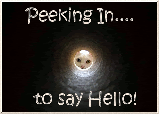Peeking In To Say hello!