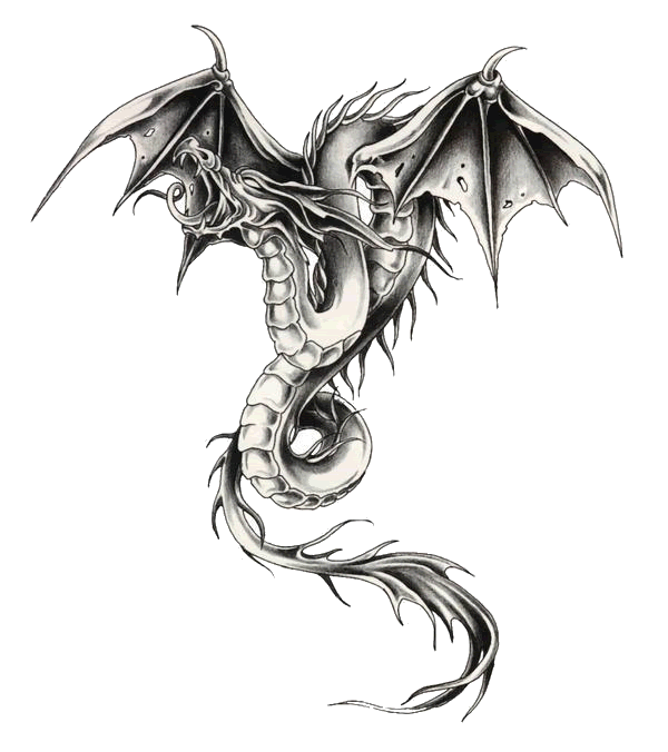 Silver Dragon Graphic