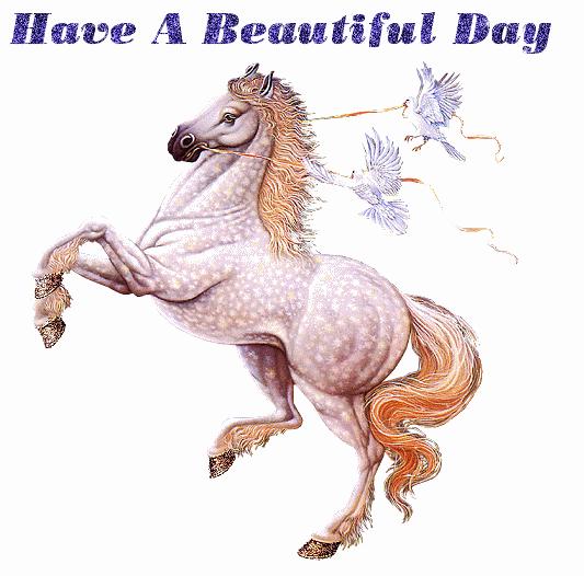 Beutiful-day-With-Horse.gif