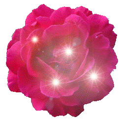 Sparkling Pink Rose Glitter