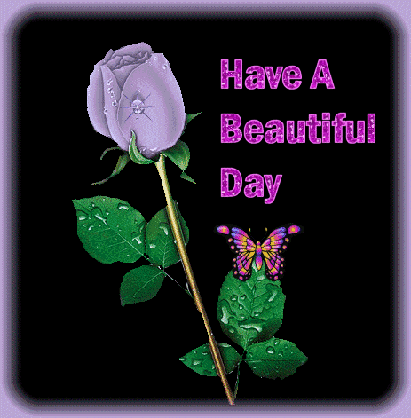 Have a Beautiful Day (Rose)