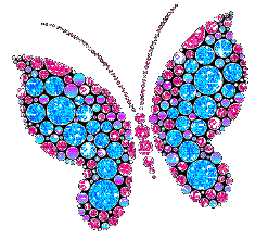 butterfly-desi-glitters-14