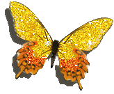 butterfly-desi-glitters-16