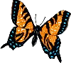 butterfly-desi-glitters-17