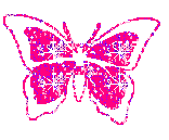 butterfly-desi-glitters-18