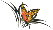 butterfly-desi-glitters-19