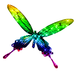 butterfly-desi-glitters-35