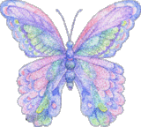 butterfly-desi-glitters-36