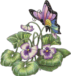 Flowers And Butterfly Graphic