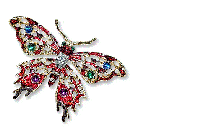 butterfly-desi-glitters-58