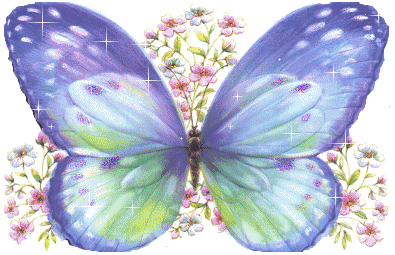butterfly-desi-glitters-60