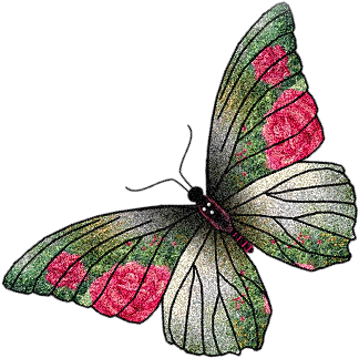 butterfly-desi-glitters-65