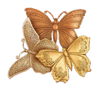butterfly-desi-glitters-66