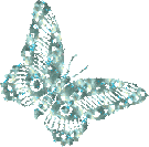 butterfly-desi-glitters-73
