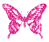 butterfly-desi-glitters-76
