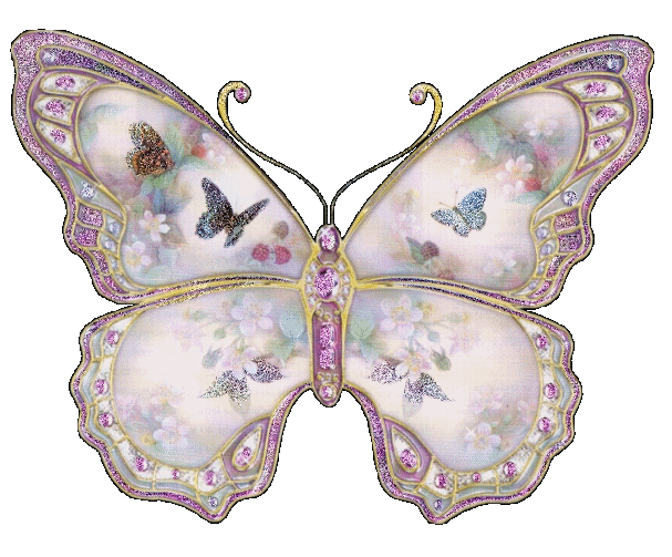 butterfly-desi-glitters-78