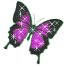 butterfly-desi-glitters-81