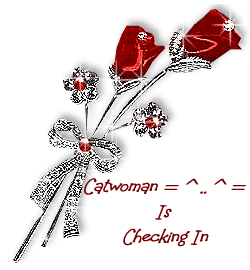 checking-in-desi-glitters-1