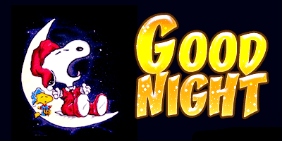 good-night-desi-glitters-11