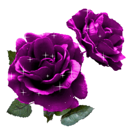 roses-desi-glitters-46