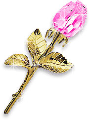 roses-desi-glitters-511