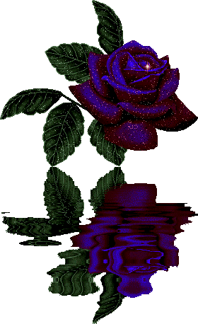 roses-desi-glitters-65