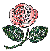 roses-desi-glitters-67