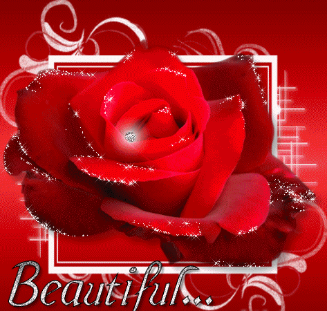 Beautiful Glitter Rose Graphic