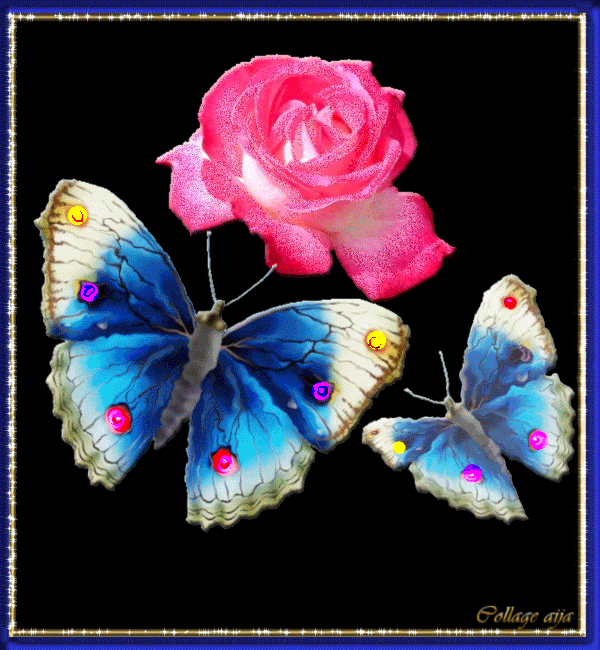 Graceful Butterfllies Graphic