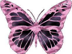 Pink & Black Glittered Butterfly