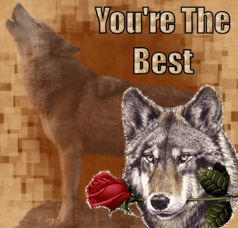 You're The Best!