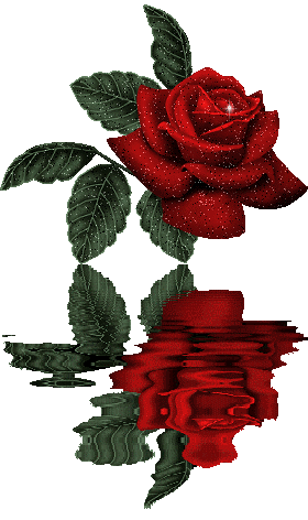 Awesome Rose Shadow