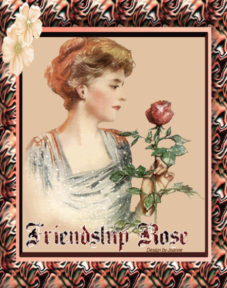 Freindship Rose