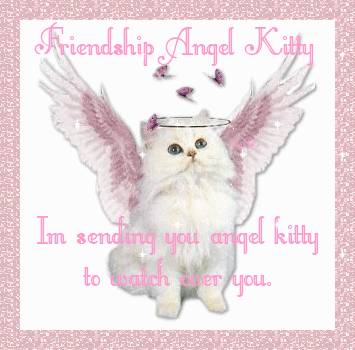 Friendship Angel Kitty
