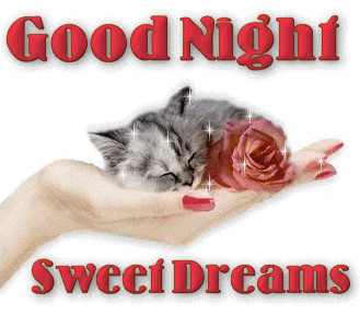 Good Night Graphic – Sweet Dreams