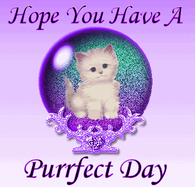 Hope You Have a Perfect Day