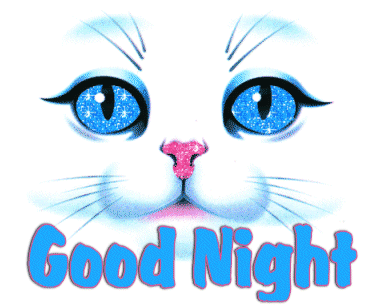 Lovely Good Night Graphic