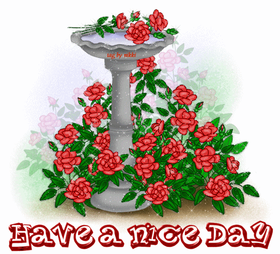 Nice Day-Flowers