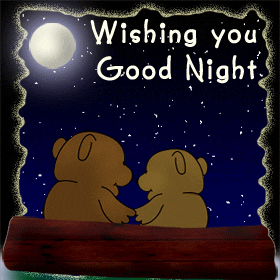 Wishing u Good Night!