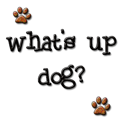 Dog What’s Up