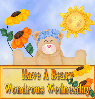 Have A beary Wednesday!